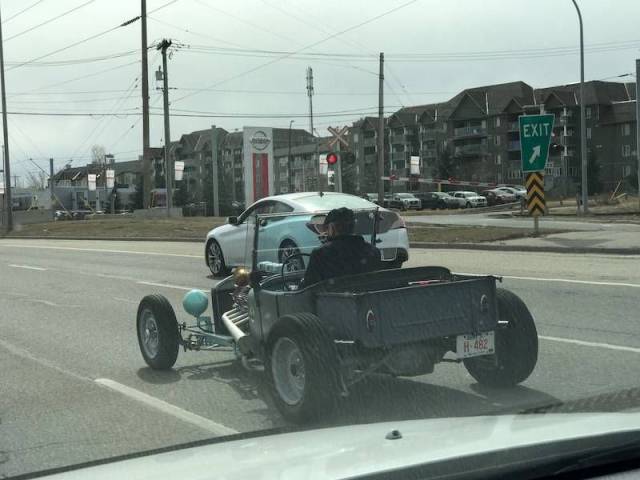 daily picdump weekend edition 73 pics 2.html - 73 HD Photos | Premium Gallery 2017