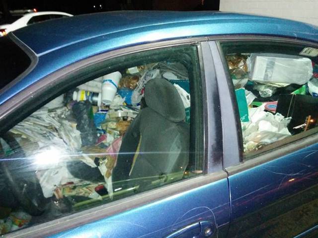 daily picdump weekend edition 73 pics 2.html - 73 HD Photos | Premium Gallery 2017