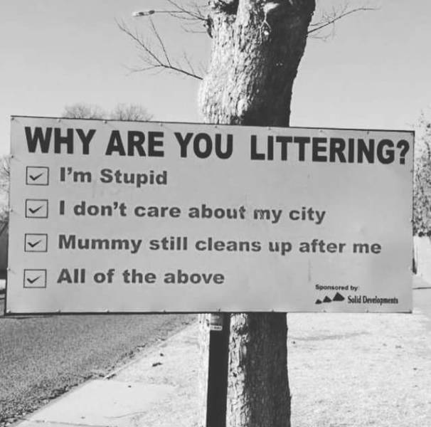 daily picdump weekend edition 73 pics 2.html - 73 HD Photos | Premium Gallery 2017