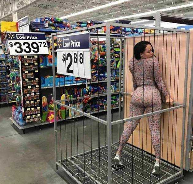 daily picdump weekend edition 73 pics 2.html - 73 HD Photos | Premium Gallery 2017