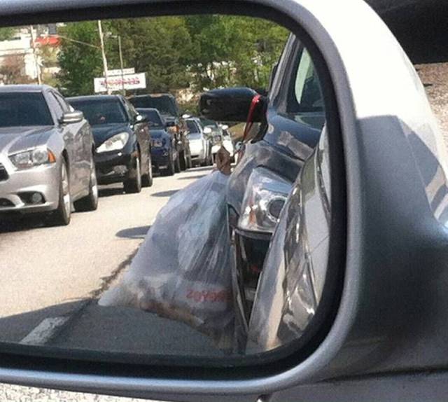 daily picdump weekend edition 73 pics 2.html - 73 HD Photos | Premium Gallery 2017