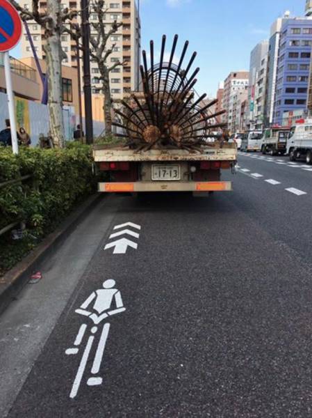 daily picdump weekend edition 73 pics 2.html - 73 HD Photos | Premium Gallery 2017