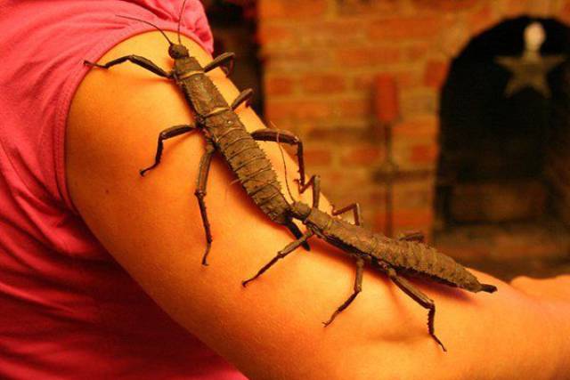 daily picdump 95 pics 38.html - 95 HD Photos | Premium Gallery 2017