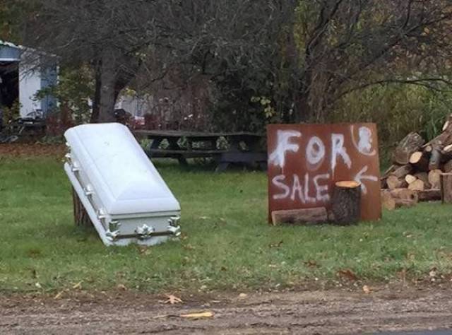 daily picdump 95 pics 38.html - 95 HD Photos | Premium Gallery 2017