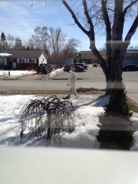 daily picdump 95 pics 38.html - 95 HD Photos | Premium Gallery 2017