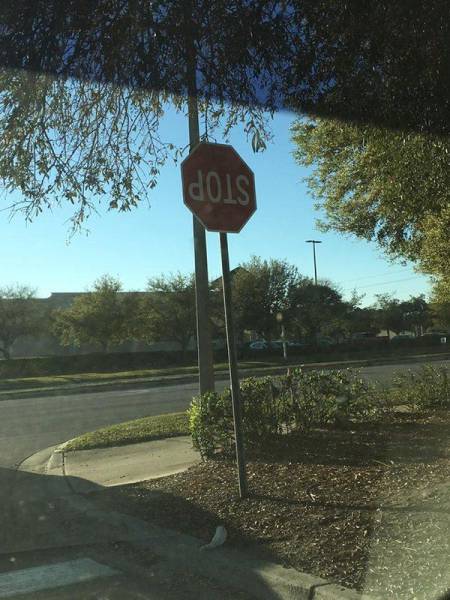 daily picdump 95 pics 38.html - 95 HD Photos | Premium Gallery 2017