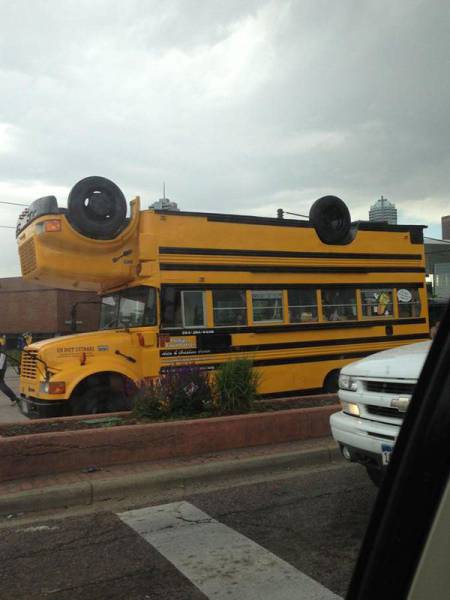 daily picdump 95 pics 38.html - 95 HD Photos | Premium Gallery 2017