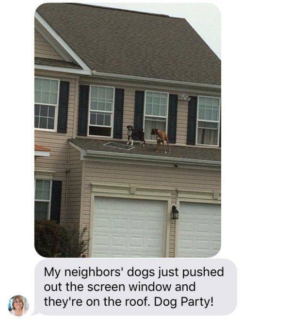 daily picdump 95 pics 38.html - 95 HD Photos | Premium Gallery 2017