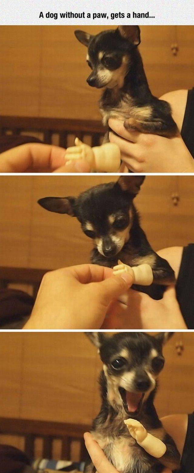 daily picdump 95 pics 38.html - 95 HD Photos | Premium Gallery 2017