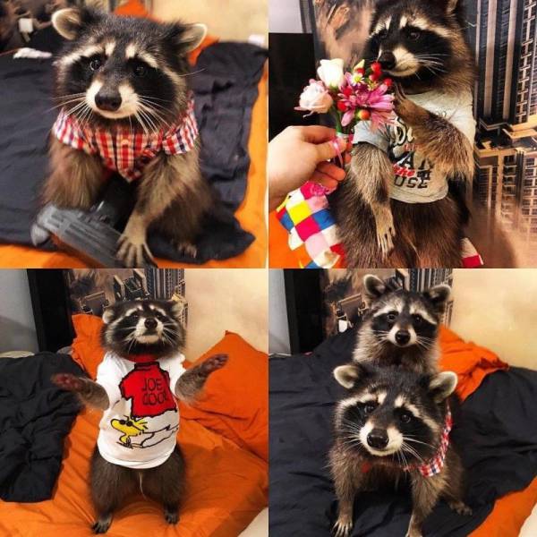 daily picdump 95 pics 45.html - 95 HD Photos | Premium Gallery 2017