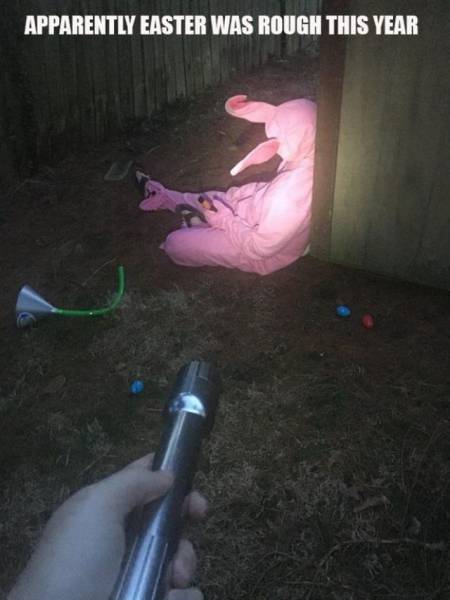 daily picdump 95 pics 45.html - 95 HD Photos | Premium Gallery 2017