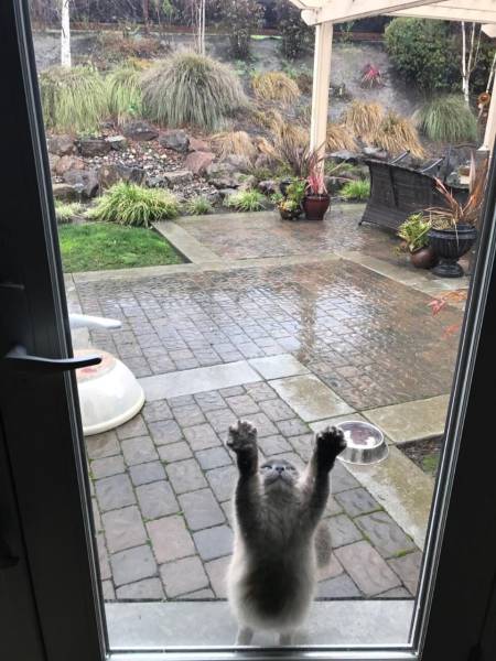 daily picdump 95 pics 45.html - 95 HD Photos | Premium Gallery 2017