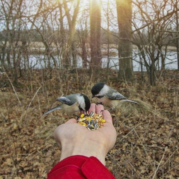 daily picdump 95 pics 45.html - 95 HD Photos | Premium Gallery 2017