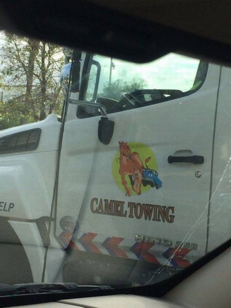 daily picdump 95 pics 45.html - 95 HD Photos | Premium Gallery 2017