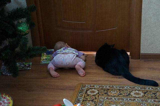 daily picdump 95 pics 45.html - 95 HD Photos | Premium Gallery 2017