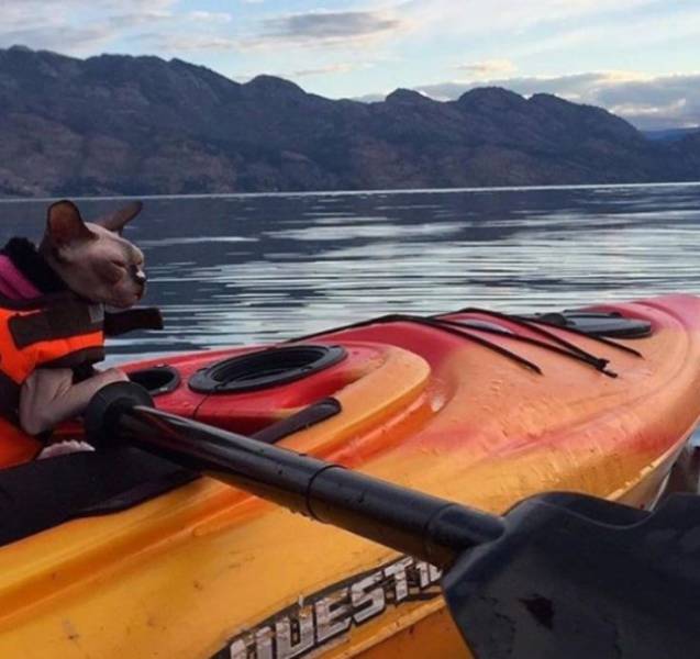 daily picdump 95 pics 45.html - 95 HD Photos | Premium Gallery 2017