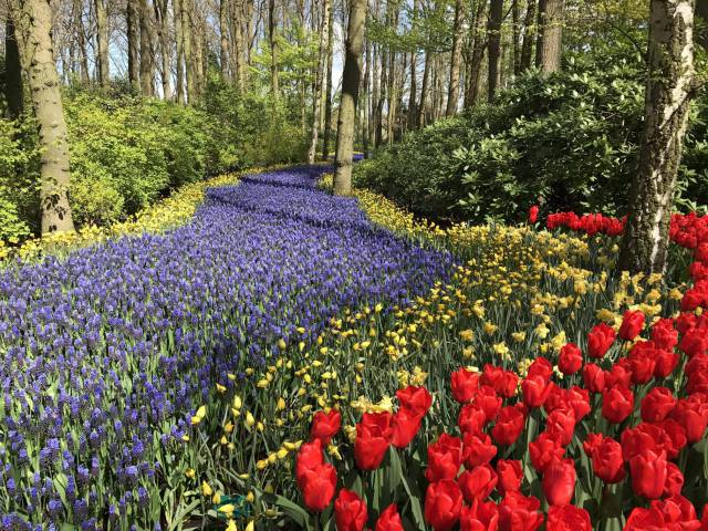 morning picdump 51 pics 3.html - 51 HD Photos | Premium Gallery 2017