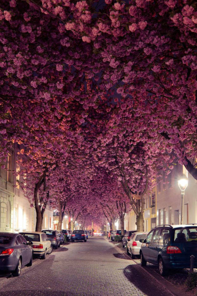 morning picdump 51 pics 3.html - 51 HD Photos | Premium Gallery 2017