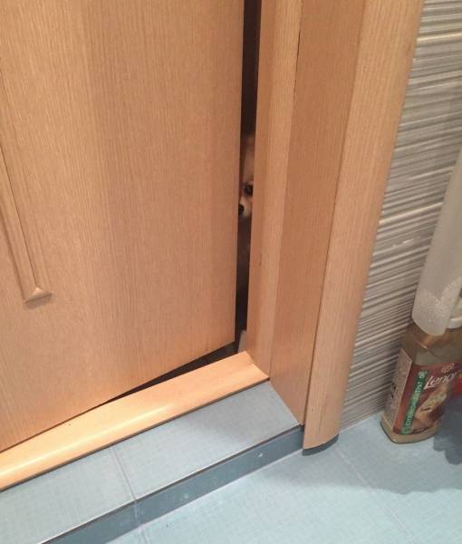 daily picdump 102 pics 9.html - 102 HD Photos | Premium Gallery 2017