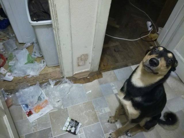 daily picdump 102 pics 9.html - 102 HD Photos | Premium Gallery 2017