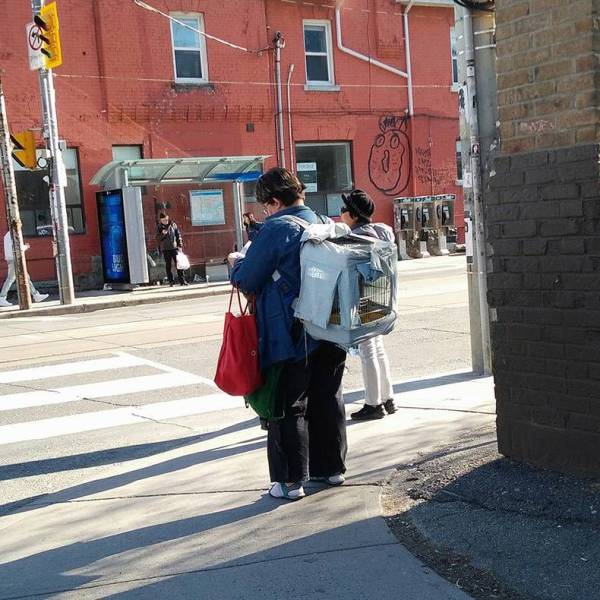 daily picdump 102 pics 9.html - 102 HD Photos | Premium Gallery 2017