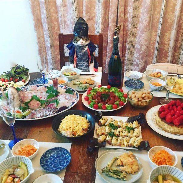 daily picdump 102 pics 9.html - 102 HD Photos | Premium Gallery 2017