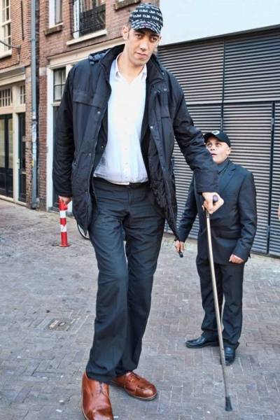 daily picdump 102 pics 9.html - 102 HD Photos | Premium Gallery 2017