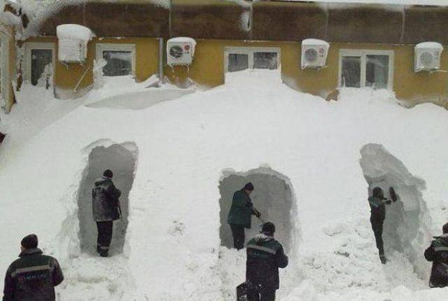 daily picdump 102 pics 9.html - 102 HD Photos | Premium Gallery 2017