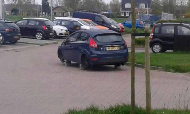 daily picdump 102 pics 9.html - 102 HD Photos | Premium Gallery 2017