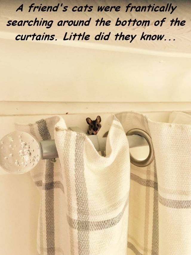 daily picdump 102 pics 9.html - 102 HD Photos | Premium Gallery 2017