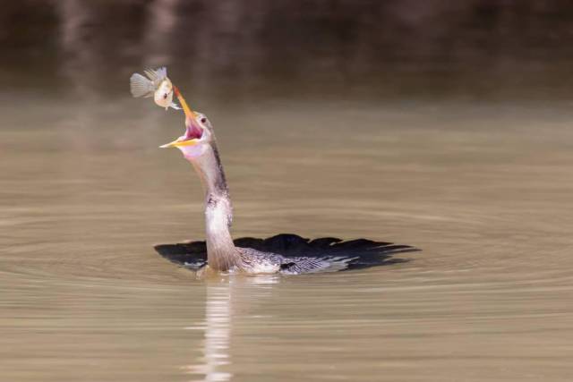 morning picdump 50 pics 2.html - 50 HD Photos | Premium Gallery 2017