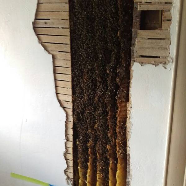 morning picdump 50 pics 2.html - 50 HD Photos | Premium Gallery 2017