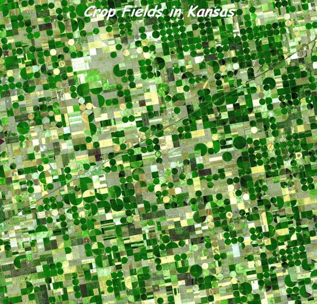 daily picdump 99 pics 3.html - 99 HD Photos | Premium Gallery 2017