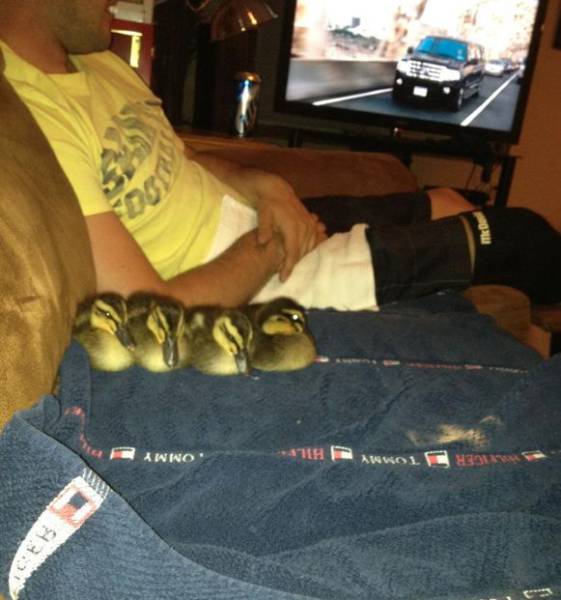 daily picdump 99 pics 3.html - 99 HD Photos | Premium Gallery 2017