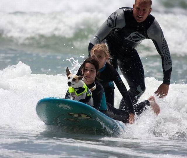 daily picdump 99 pics 3.html - 99 HD Photos | Premium Gallery 2017