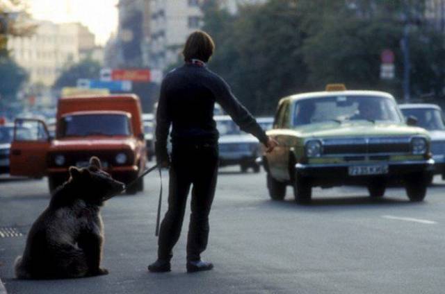 daily picdump 99 pics 3.html - 99 HD Photos | Premium Gallery 2017