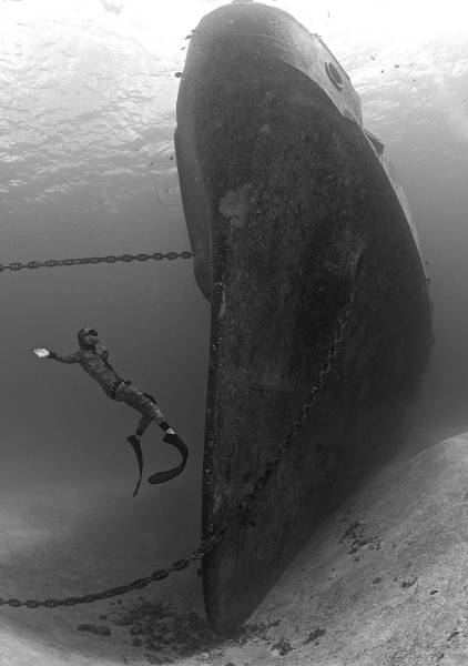 daily picdump 99 pics 3.html - 99 HD Photos | Premium Gallery 2017