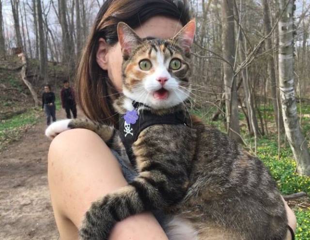 daily picdump 99 pics 3.html - 99 HD Photos | Premium Gallery 2017