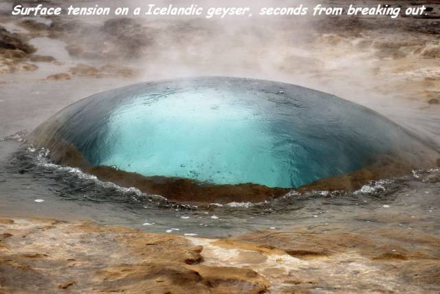 daily picdump 99 pics 3.html - 99 HD Photos | Premium Gallery 2017