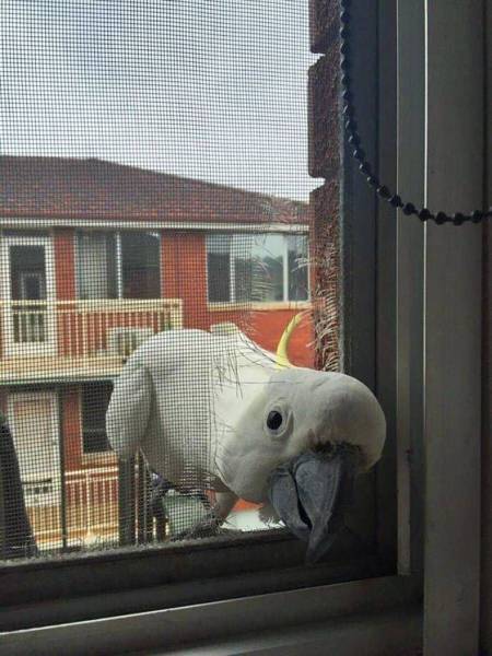 daily picdump 99 pics 3.html - 99 HD Photos | Premium Gallery 2017