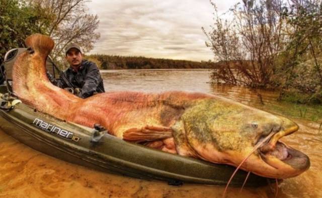 daily picdump 99 pics 3.html - 99 HD Photos | Premium Gallery 2017