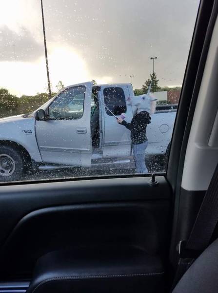 morning picdump 50 pics 2.html - 50 HD Photos | Premium Gallery 2017