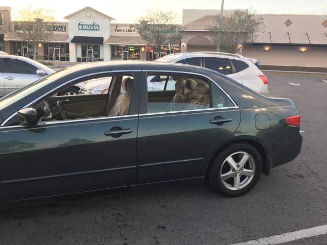 morning picdump 50 pics 2.html - 50 HD Photos | Premium Gallery 2017