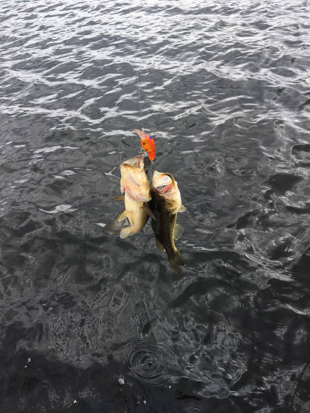 morning picdump 50 pics 2.html - 50 HD Photos | Premium Gallery 2017