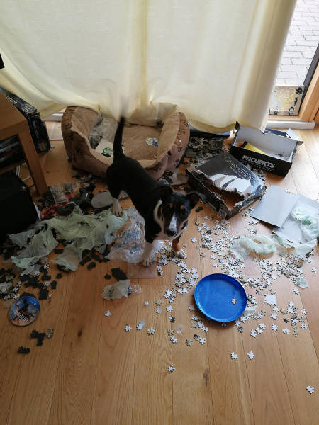 morning picdump 50 pics 2.html - 50 HD Photos | Premium Gallery 2017