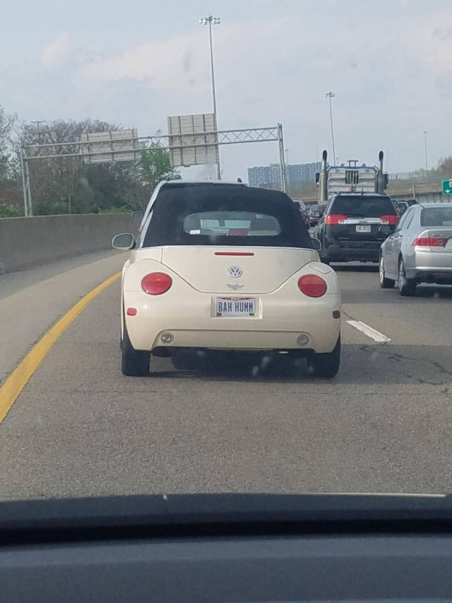 morning picdump 50 pics 2.html - 50 HD Photos | Premium Gallery 2017