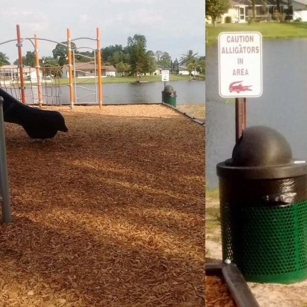 daily picdump 97 pics 37.html - 97 HD Photos | Premium Gallery 2017