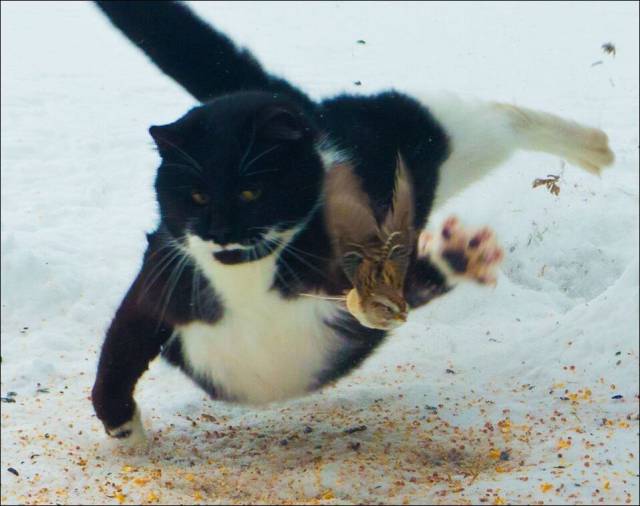 daily picdump 97 pics 37.html - 97 HD Photos | Premium Gallery 2017