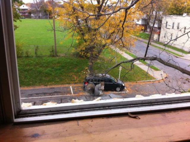 daily picdump 97 pics 37.html - 97 HD Photos | Premium Gallery 2017