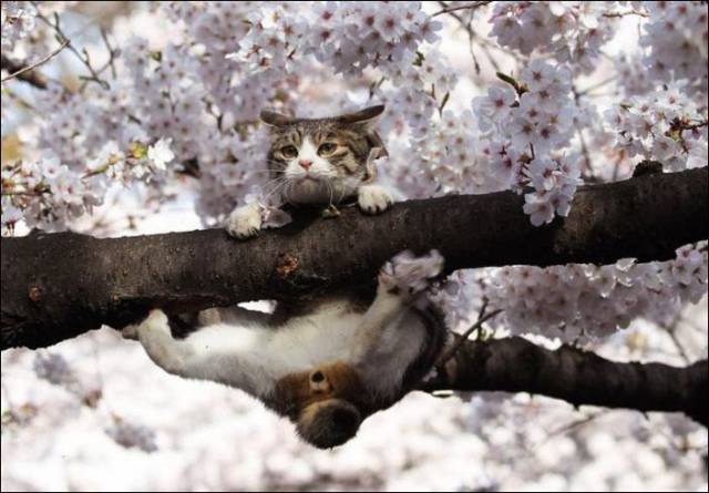 daily picdump 97 pics 37.html - 97 HD Photos | Premium Gallery 2017